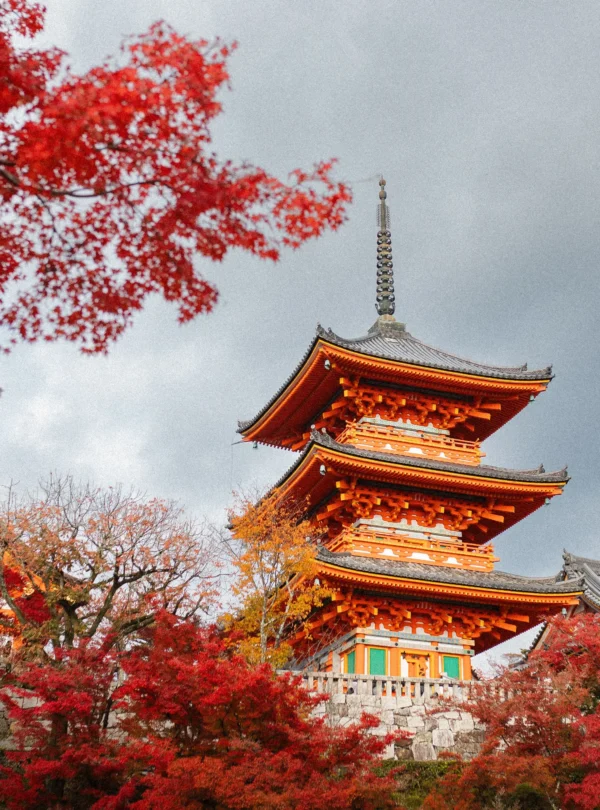 Kyoto private tours with Sakura Voyages