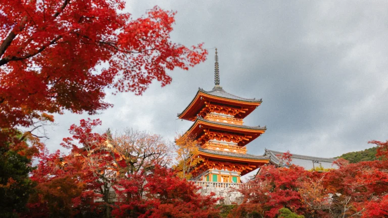 Kyoto private tours with Sakura Voyages