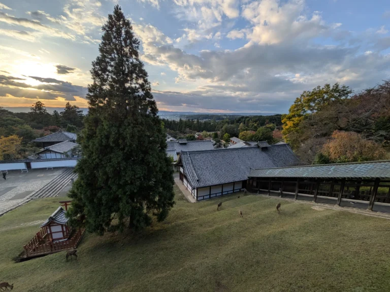 Nara private tours with Sakura Voyages