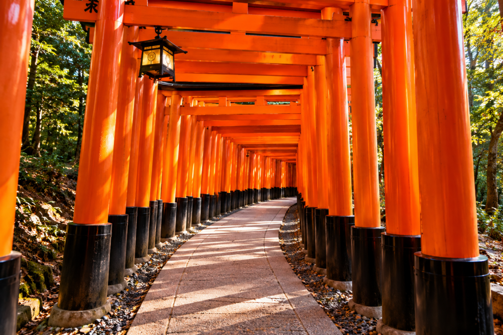 Red torii gates at Fushimi Inari Shrine in Kyoto, a popular attraction on a Kyoto private tour